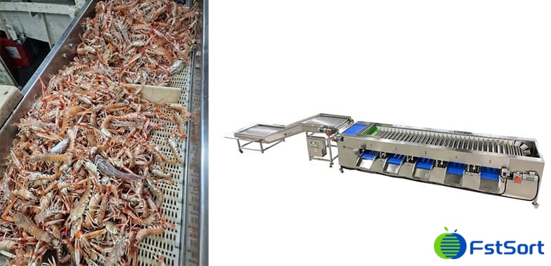 images/1703674772640Crayfish grading machine1.jpg